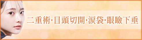 二重術・目頭切開・涙袋・眼瞼下垂